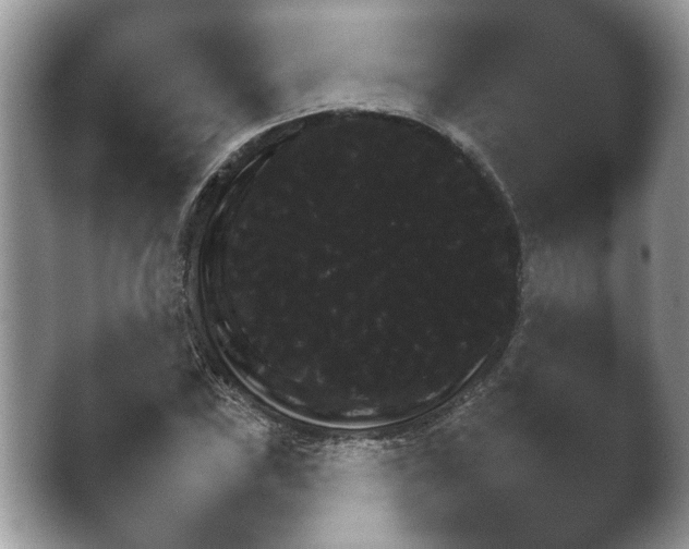 X0000038681019200409281317.png