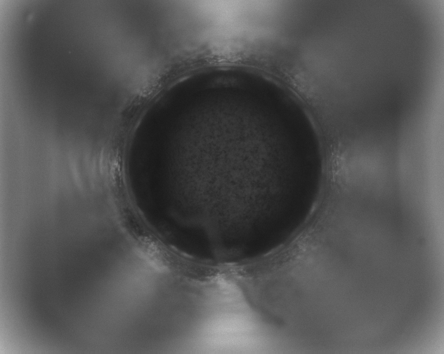 X0000054730742200508171851.png