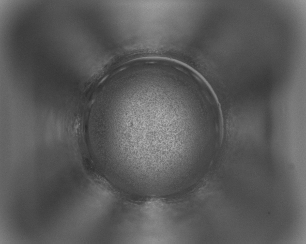X0000052280119200507132039.png