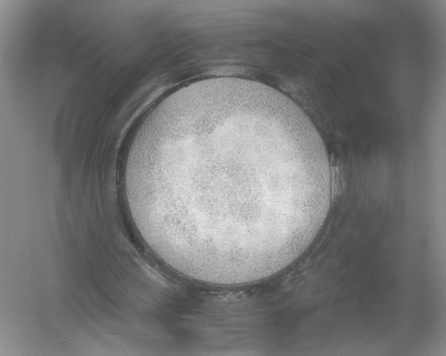 X0000054270243200508261923.png