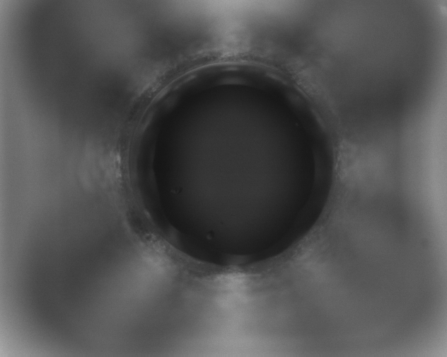 X0000054730212200508171900.png