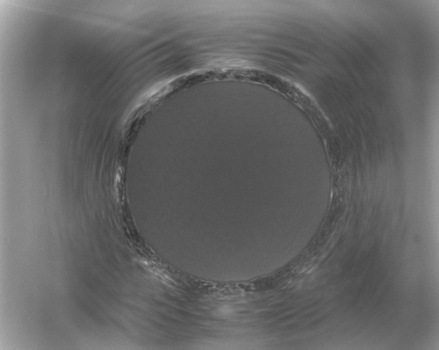 X0000054350919200508190124.png