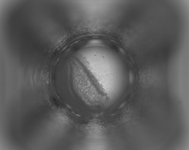 X0000052280648200507132030.png