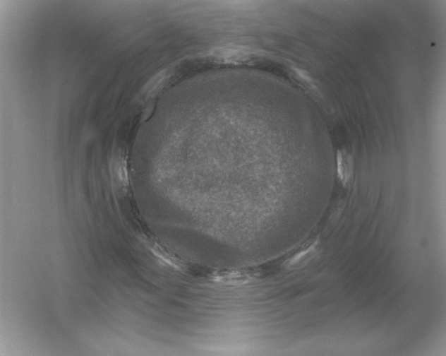 X0000054301155200508042303.png