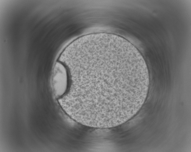 X0000053460912200508112154.png