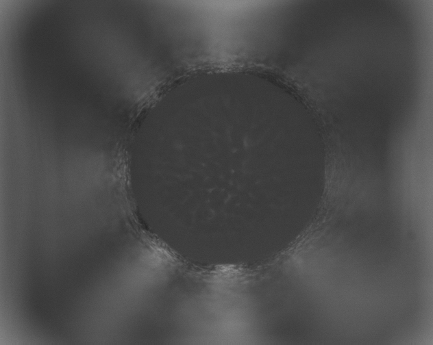X0000052730720200507141545.png