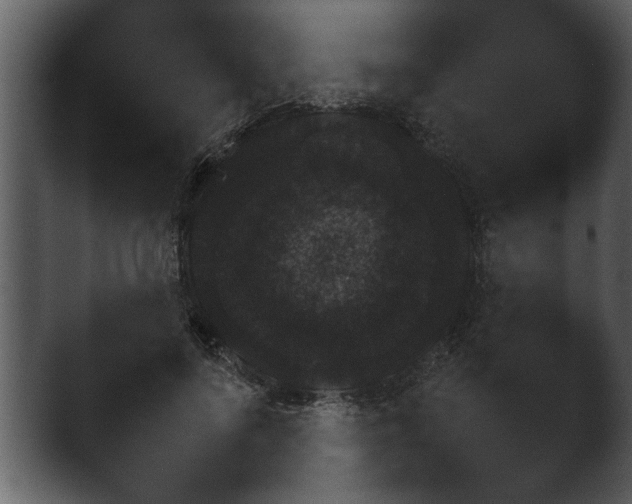 X0000043160696200411300945.png