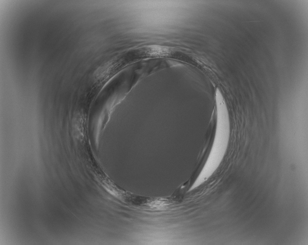 X0000054350325200508190135.png