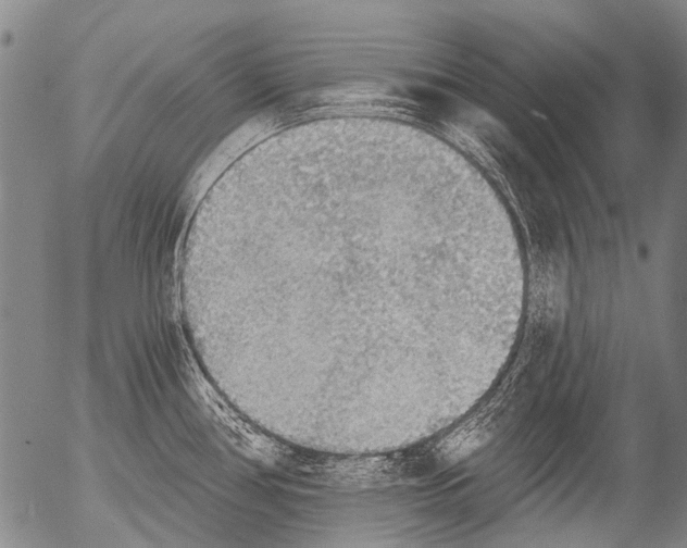 X0000054581386200508300049.png