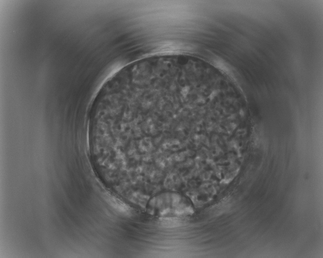 X0000053461227200508112148.png