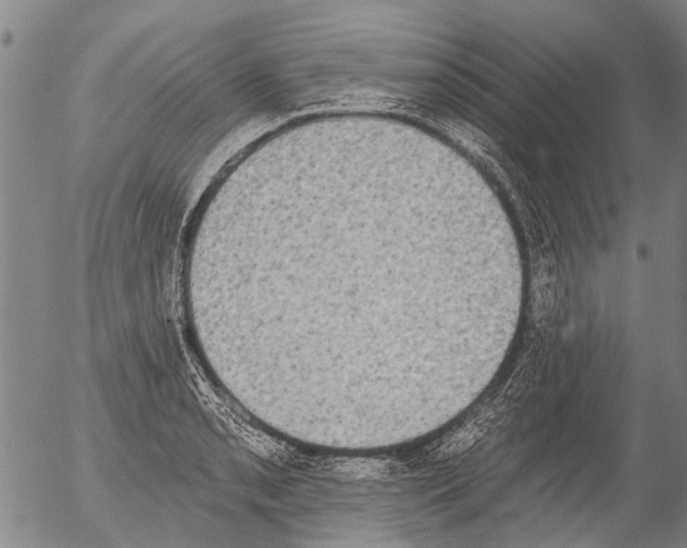 X0000054581085200508300054.png