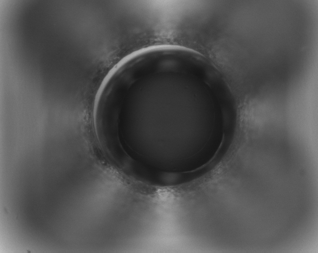X0000054730608200508171853.png