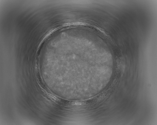 X0000055211266200508301312.png
