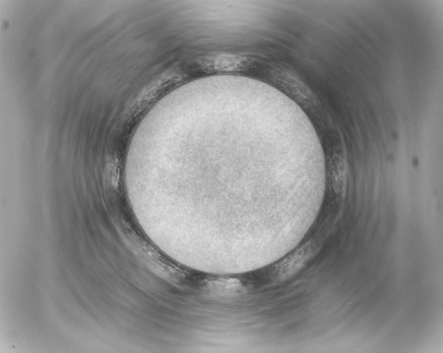 X0000054230374200508171518.png