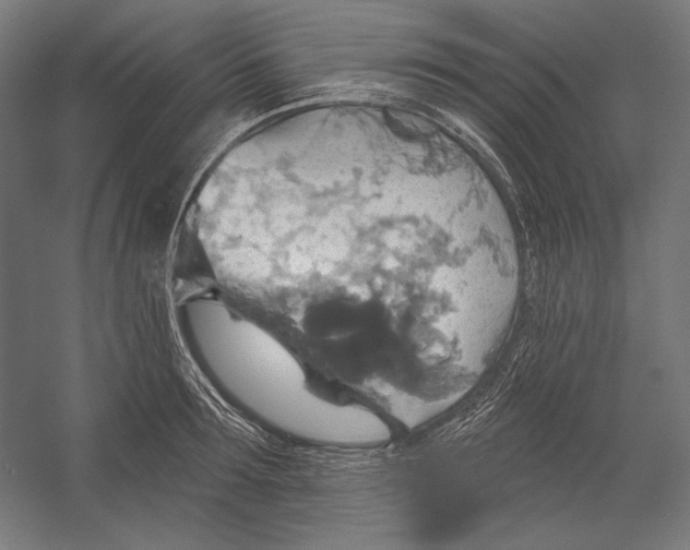 X0000055250899200509071612.png