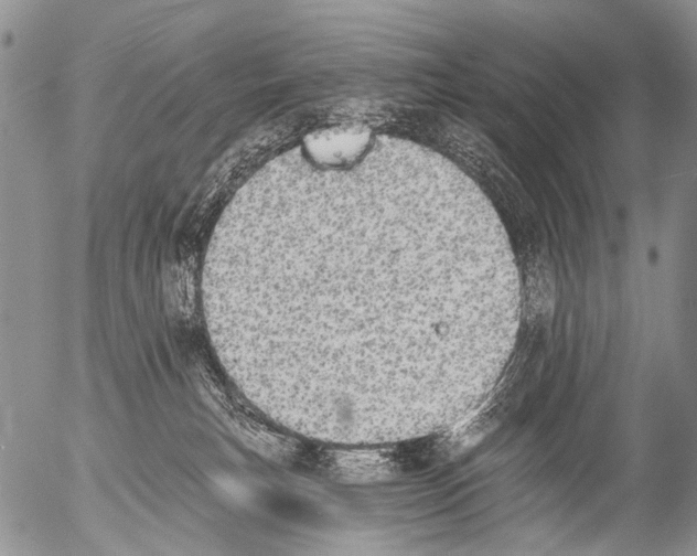 X0000054580183200508300110.png