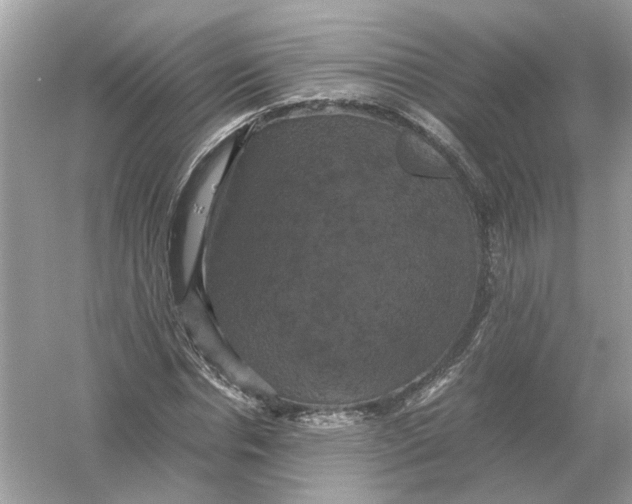 X0000054350826200508190126.png