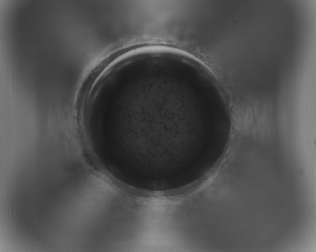 X0000054730246200508171859.png