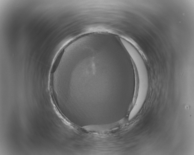 X0000054350815200508190126.png