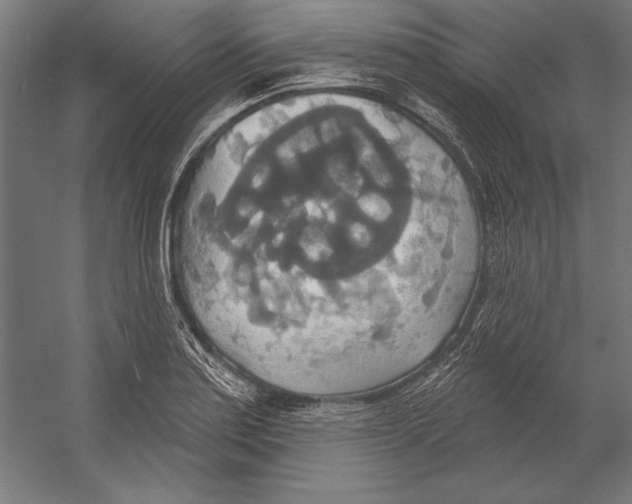X0000055251179200509071607.png