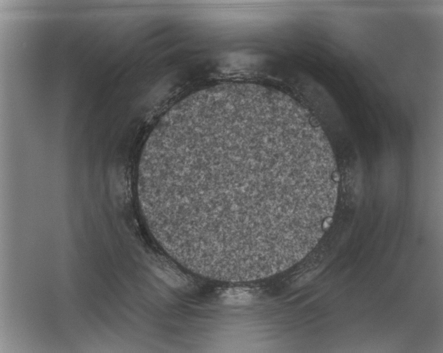 X0000053460751200508112157.png