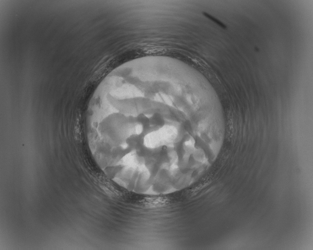 X0000055250667200509071617.png