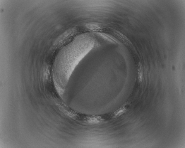 X0000054170618200508101801.png