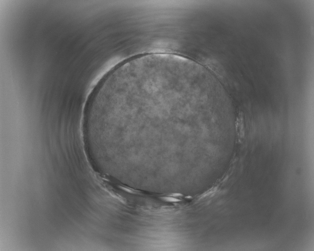 X0000054350292200508190135.png