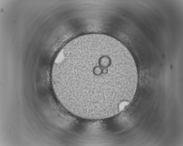 X0000054580116200508300111.png