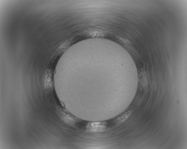 X0000054350622200508190130.png