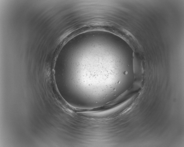 X0000054301065200508042304.png