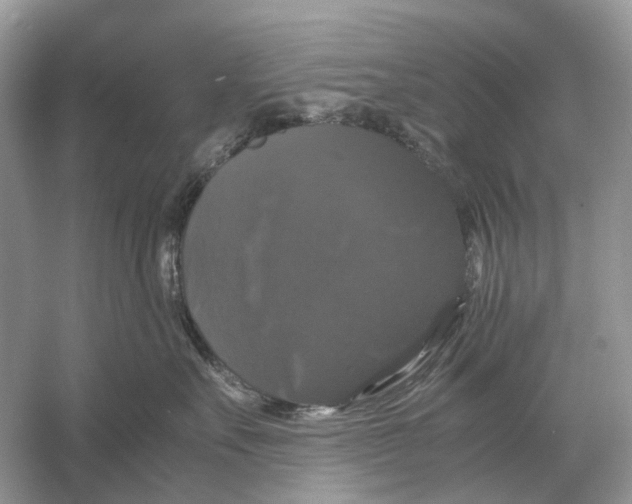 X0000054350527200508190131.png