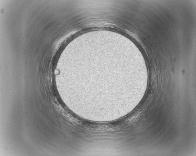 X0000054230979200508171506.png