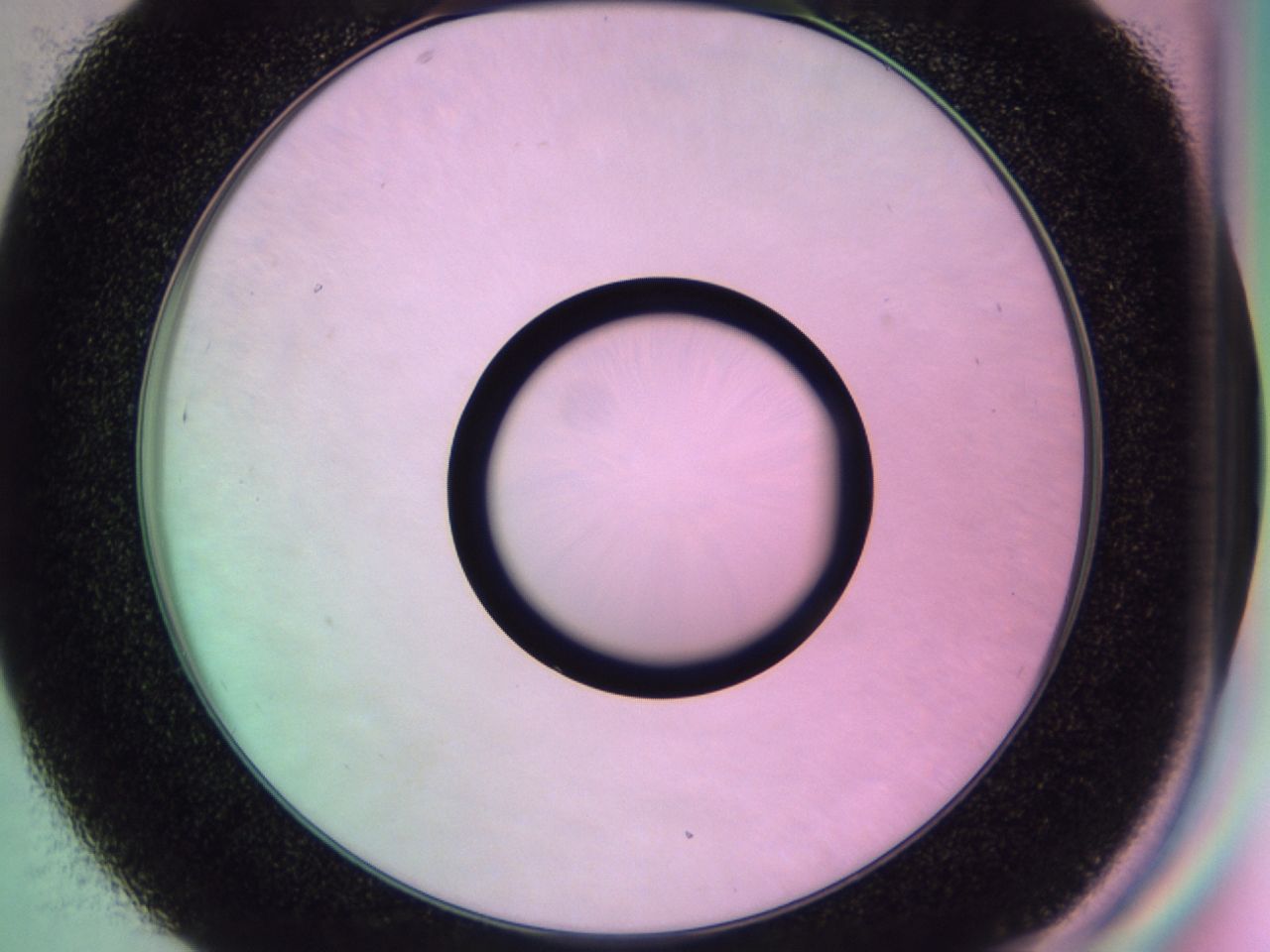 01gh_D7_ImagerDefaults_0.jpg