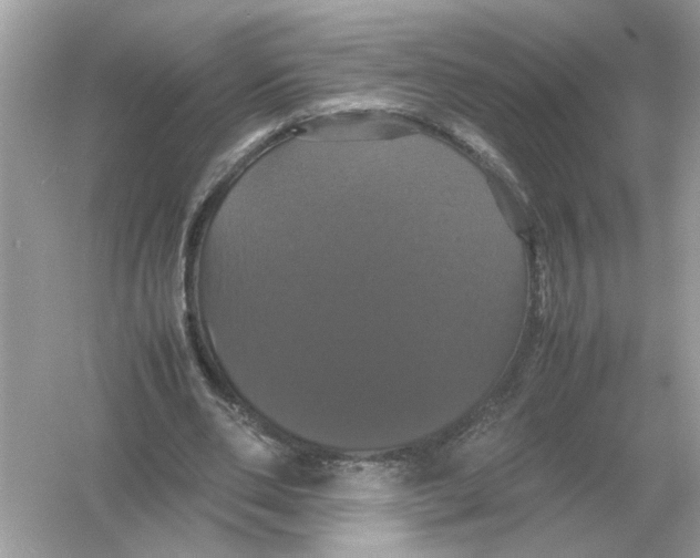 X0000054350486200508190132.png