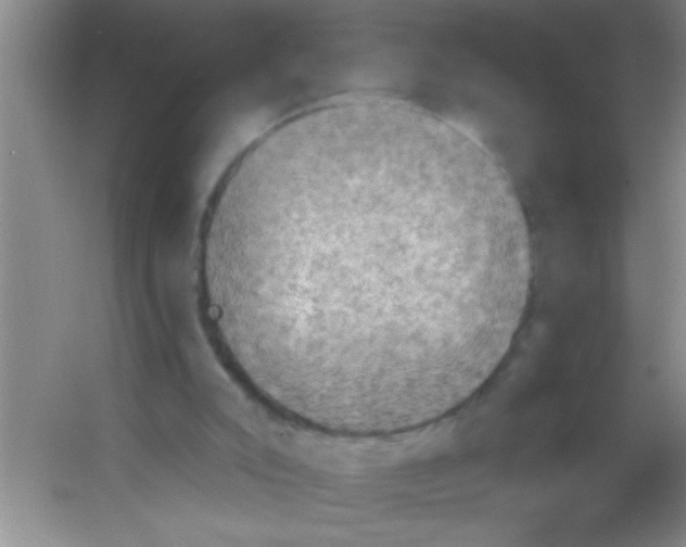 X0000053460007200508112209.png