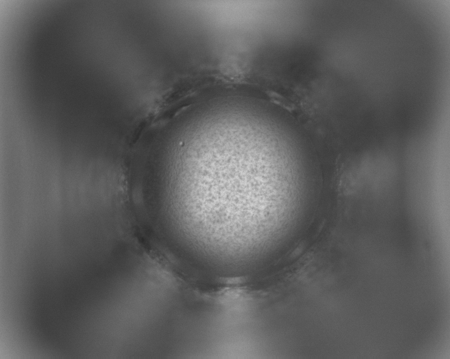 X0000054110518200508022102.png