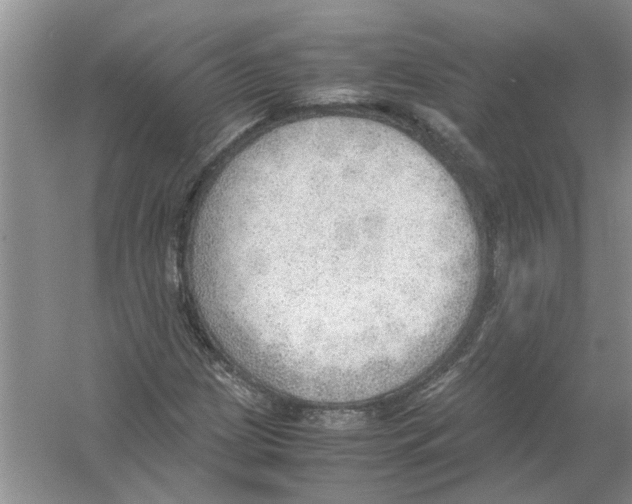 X0000054271209200508261907.png