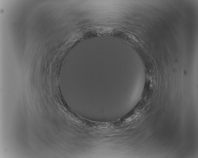X0000054171345200508101749.png