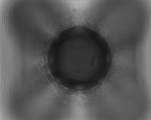 X0000054731298200508171841.png