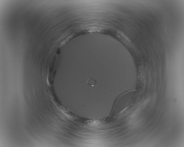 X0000054350074200508190139.png