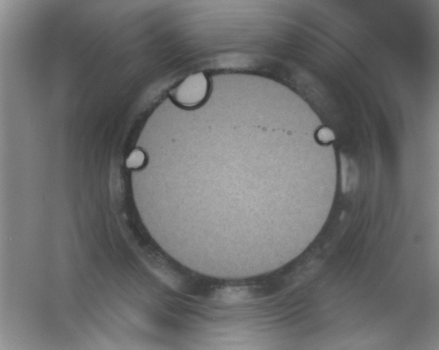 X0000053460252200508112205.png