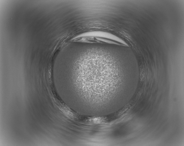 X0000054300365200508042316.png