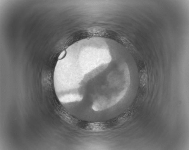 X0000054350713200508190128.png