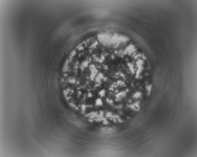 X0000053460169200508112206.png
