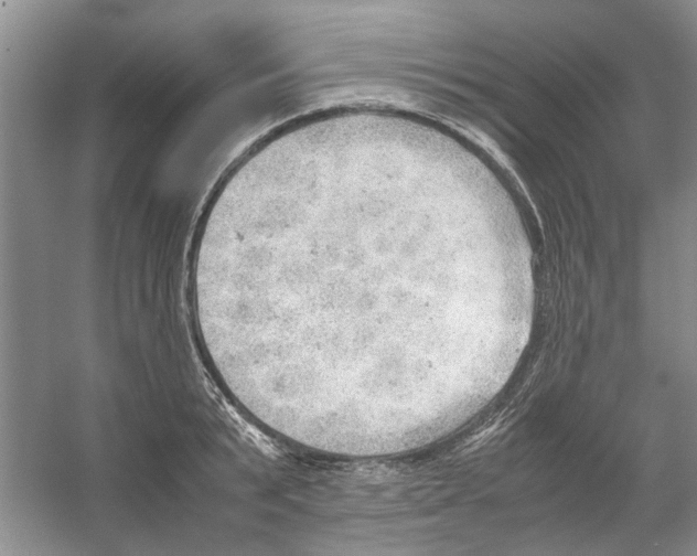 X0000054270799200508261914.png
