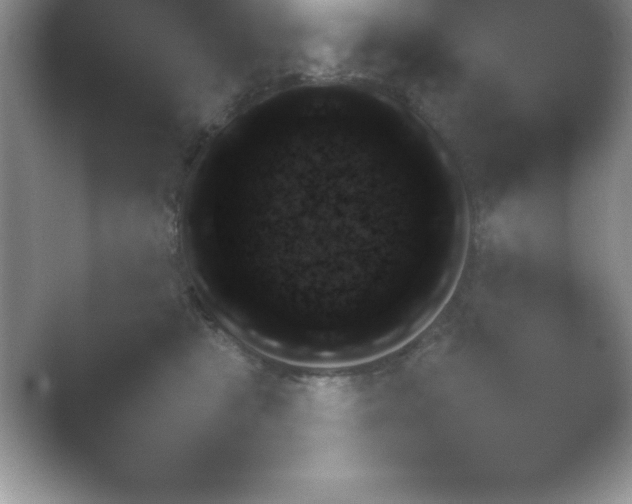 X0000054730469200508171856.png