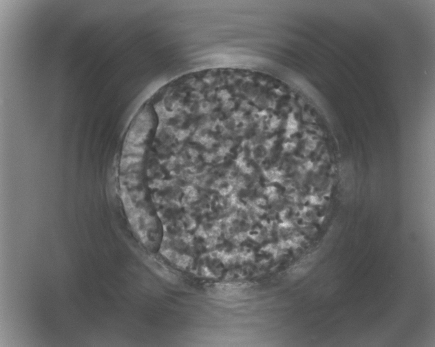 X0000053460875200508112154.png