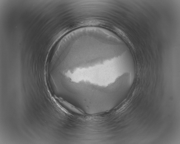 X0000055250802200509071614.png