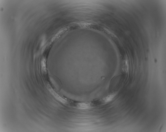 X0000054170238200508101807.png